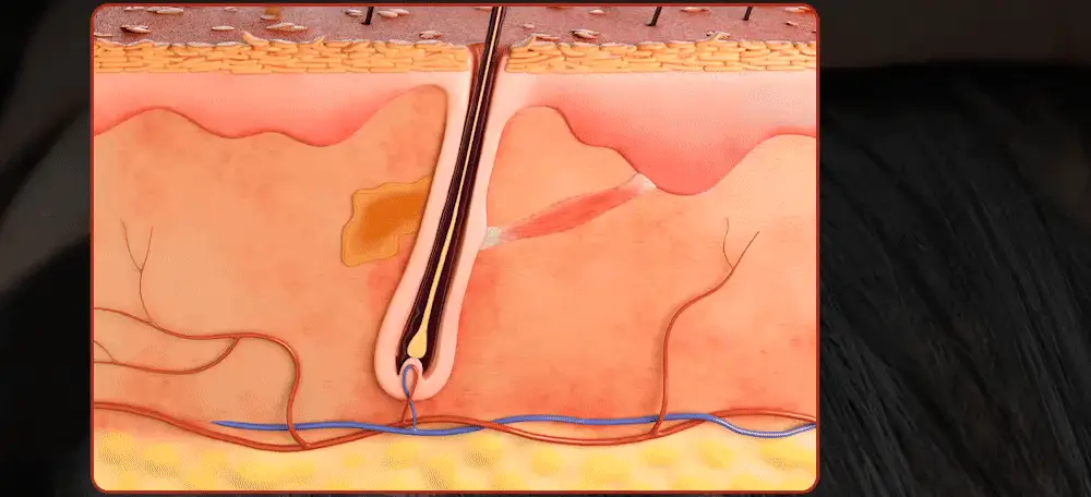 [포켓몬 에디션][50시간볼륨지속]] 릴리이브 그로우턴 3D 볼륨 샴푸 대용량 500ml (단품/기획*) 상세페이지 11